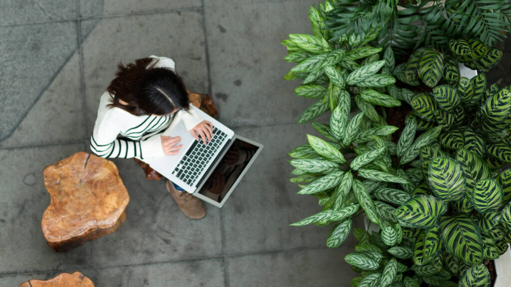 PC-Einkaufsstrategien